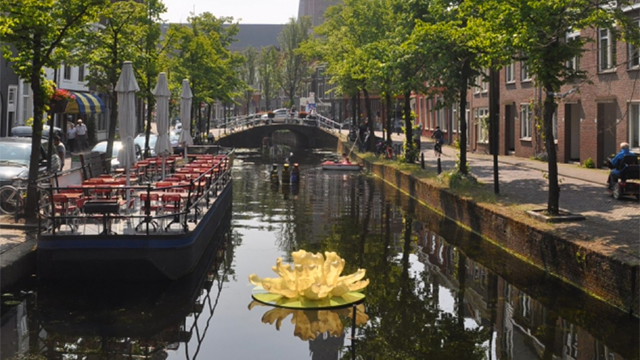 Canal Art: De waterlelie van Ingrid Slaa in de gracht van Delft